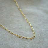 COLLAR 2026 LAIKA GOLDFILLED
